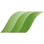 Portselanvärv Y65 Yellow green 7g(Inglise)