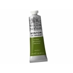 Õlivärv Winton 37ml 599 sap green
