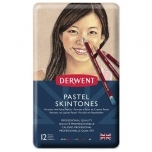 Pastellpliiatsid Derwent 12tk nahatoonid metallkarbis