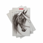 Märkmik klamberköites Wild Horse, 112x181mm, 32lehte, punktiiriga
