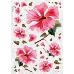 Riisipaber Hibiscus FLO0080 32 x 45