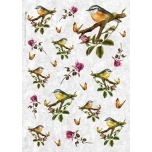 Riisipaber Lindudega Animals0002 22 x 32