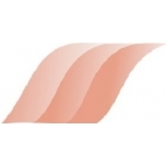 Portselanvärv Y12 Salmon Pink 5g(Inglise)