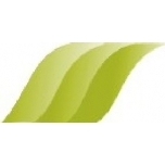Portselanvärv Y65A Grass green 6g(Inglise)