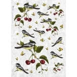 Riisipaber Lindudega ANI0001 32 x 45