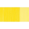 Terzia õlivärv Cadmium Yellow Light 0558 37ml 