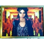 Hiyokuna Dragoi(artist Amadeus Eisenberg)raamitud